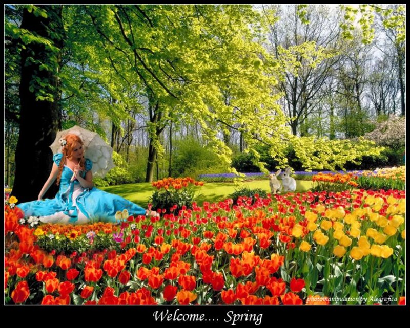 Woman in Blue Dress — Serene, Spring, Photograph