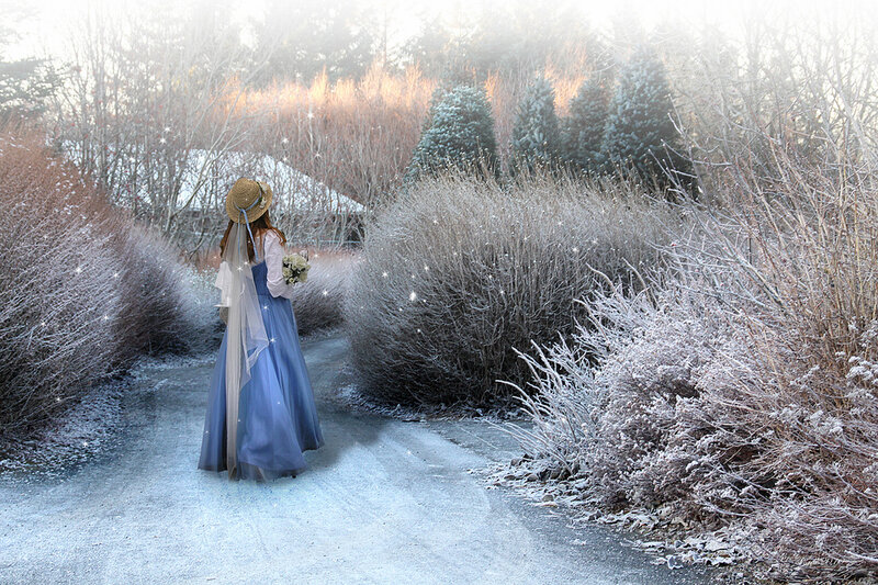 Woman in Blue Dress — Serene, Winter