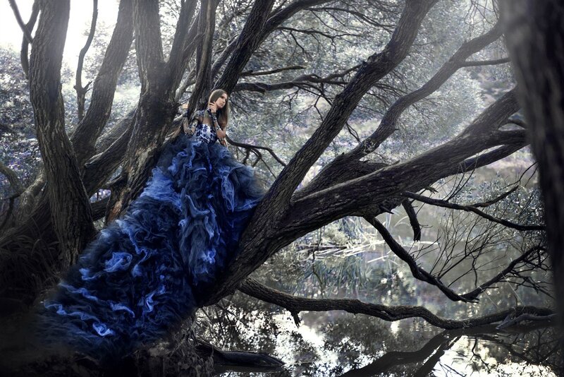 Woman in Blue Gown — Dramatic, Photograph, Tree