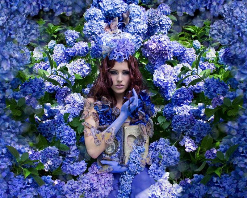 woman in blue hydrangea garden