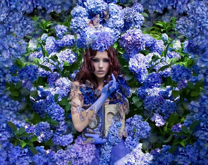 Woman in Blue Hydrangeas