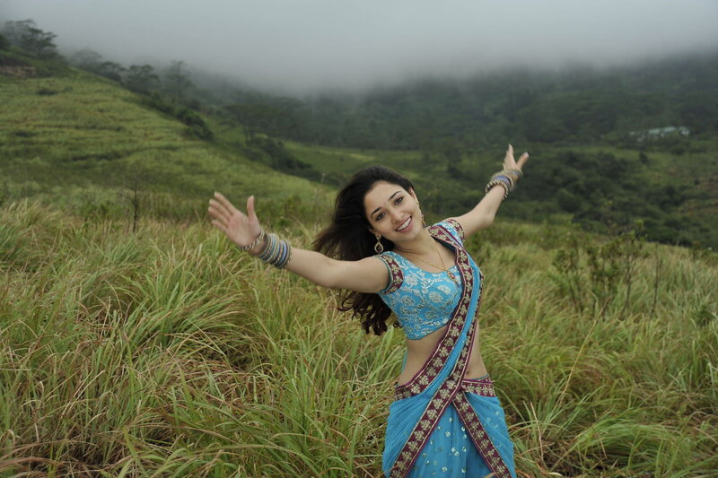 Woman in Blue Sari — Serene, Photograph, Saree