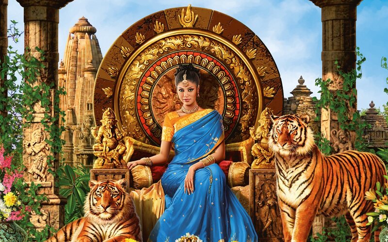 woman in blue sari with tigers