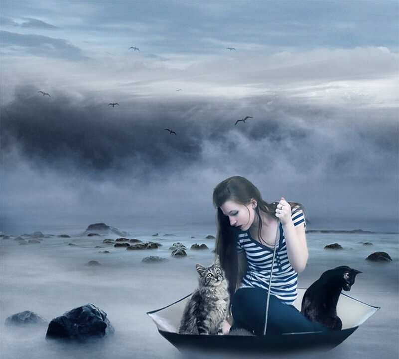 Woman in Boat with Cats