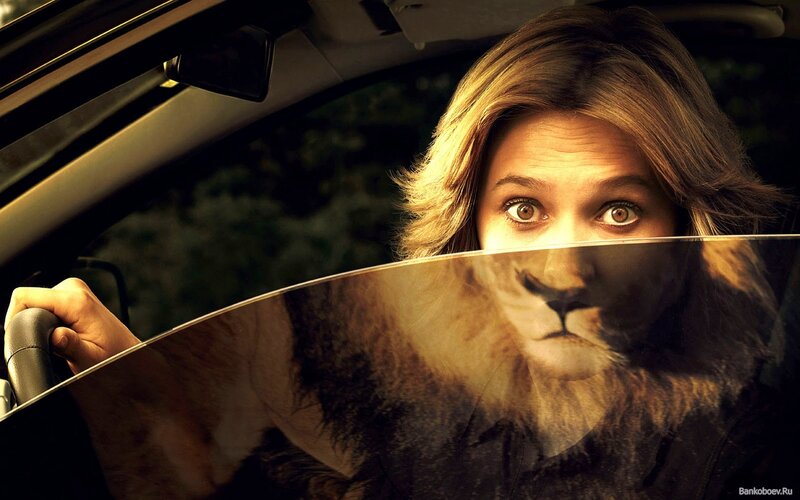Woman in Car with Lion