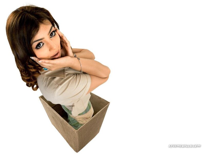 Woman in Cardboard Box — White