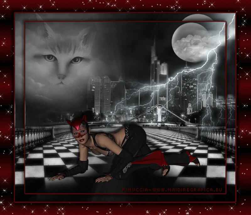 Woman in Cat Mask — Black, Dramatic, Night