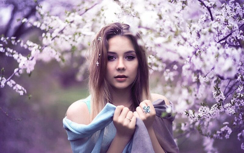 Woman in Cherry Blossoms — Purple