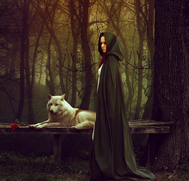 Woman in Cloak with Wolf