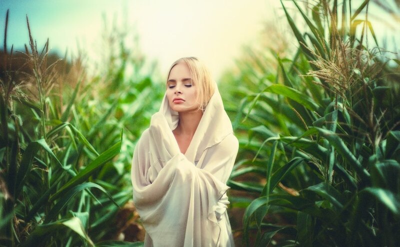 Woman in Cornfield — Green, Serene, Afternoon, Photograph