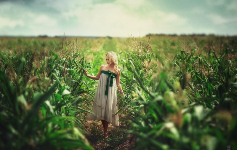 Woman in Cornfield — Green, Serene, Afternoon
