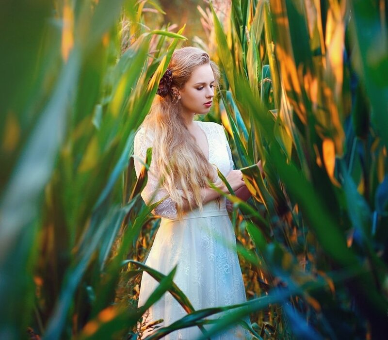 Woman in Cornfield — Green, Serene, Sunset