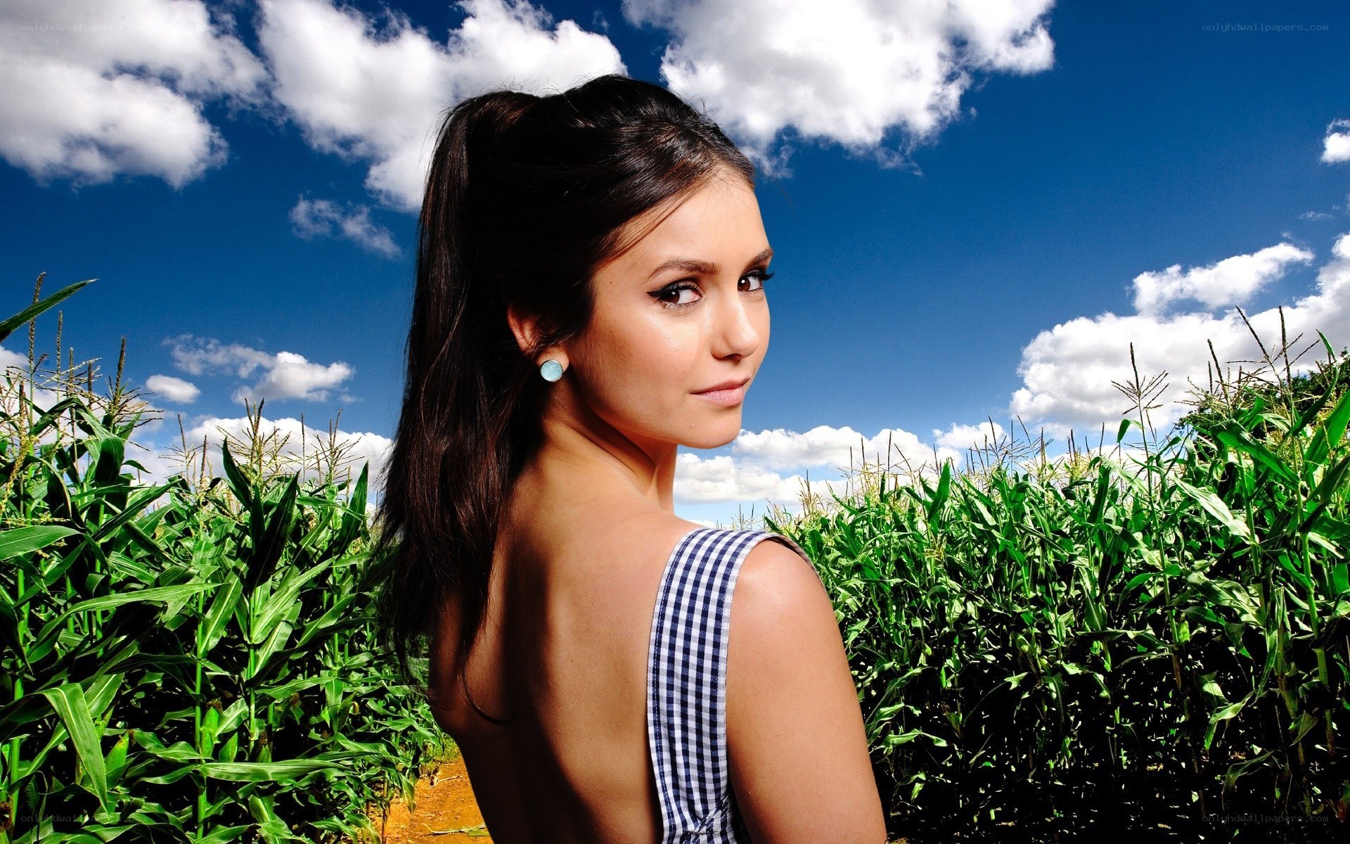 woman in cornfield looking back