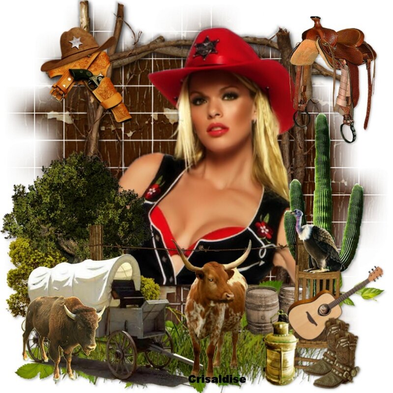 Woman in Cowboy Hat — Red, Dramatic, Digital Art, Saddle