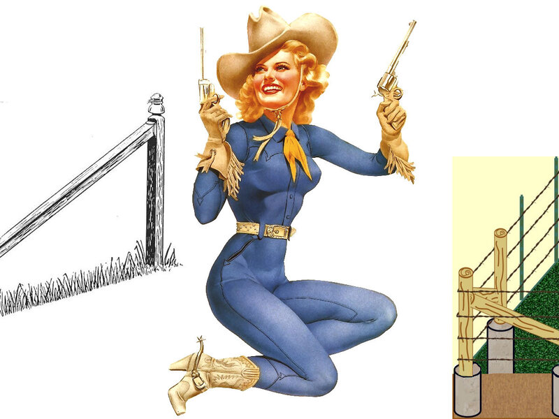 Woman in Cowboy Outfit — Blue, Confident, Illustration