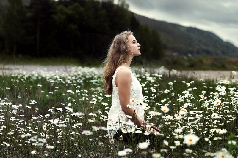 woman in daisy field