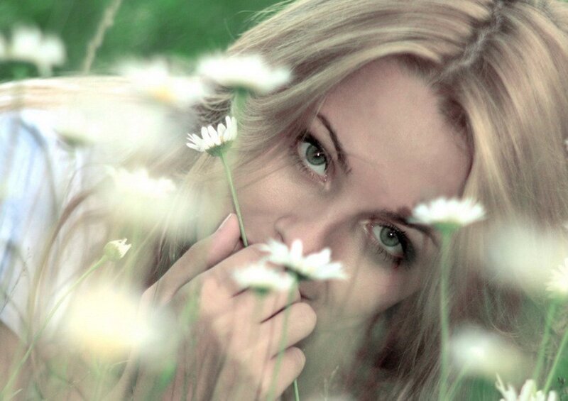 Woman in Daisy Field — White, Serene, Summer, Photograph