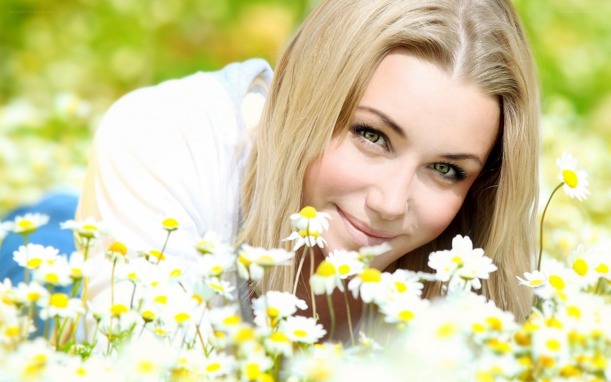 woman in daisy field