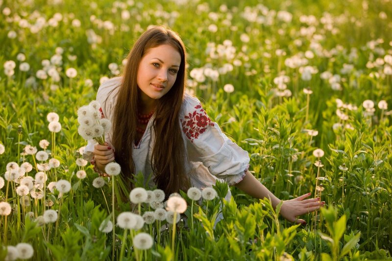 woman in dandelion field