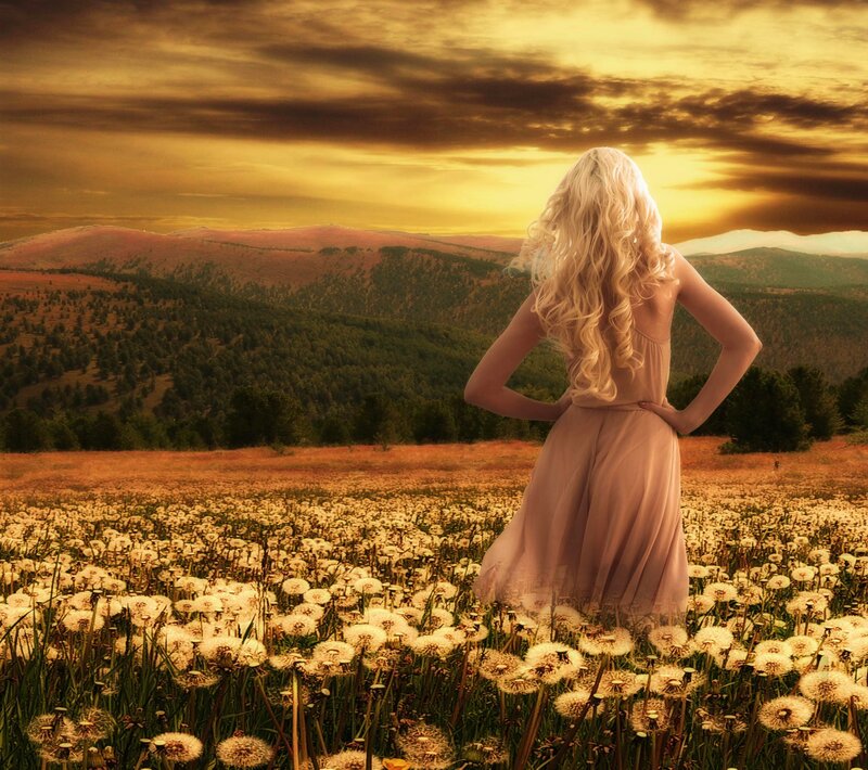 Woman in Dandelion Field — Gold