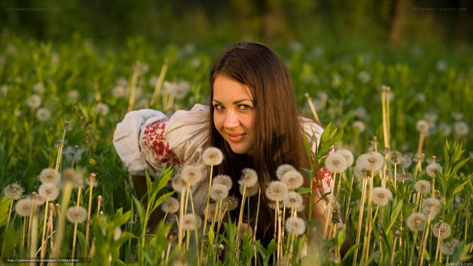 woman in dandelion field