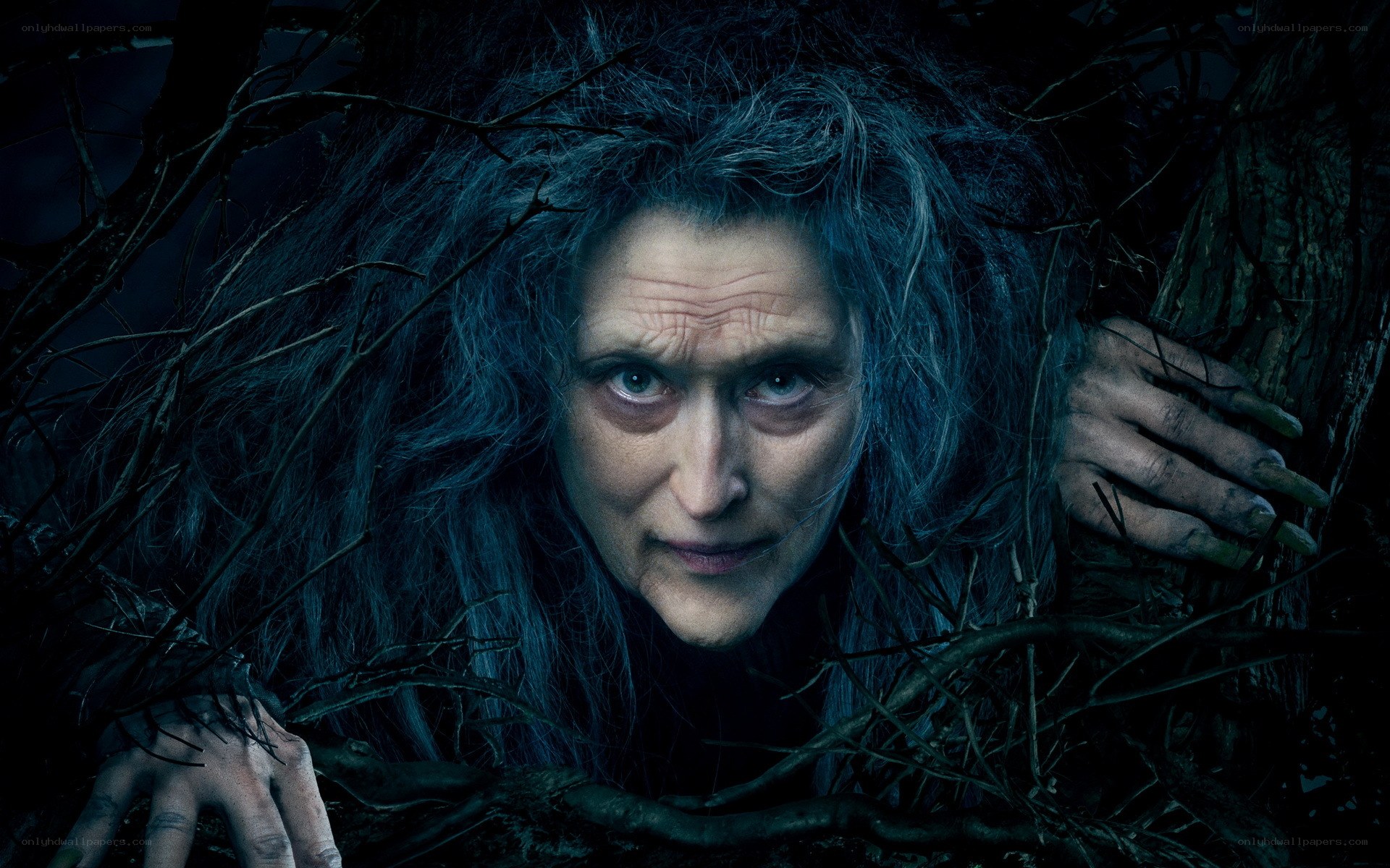 woman in dark forest