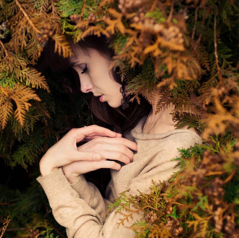 Woman in Evergreen Branches — Brown
