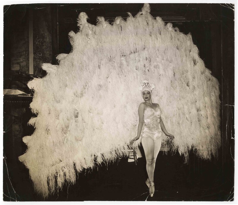 Woman in Feather Costume — Black, Dramatic, Photograph, Feathered Wings
