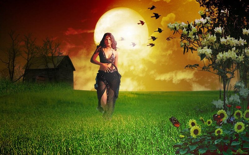 woman in field at sunset