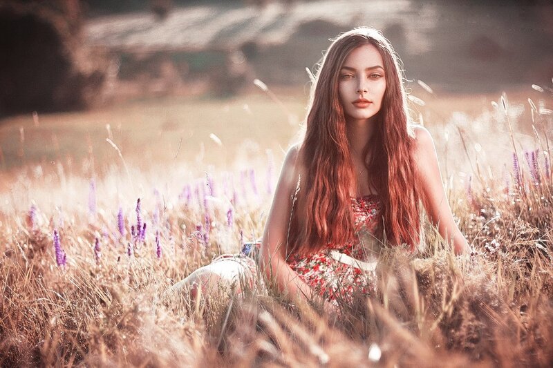 Woman in Field — Brown, Serene, Sunset, Photograph