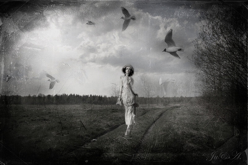 Woman in Field with Birds — Black
