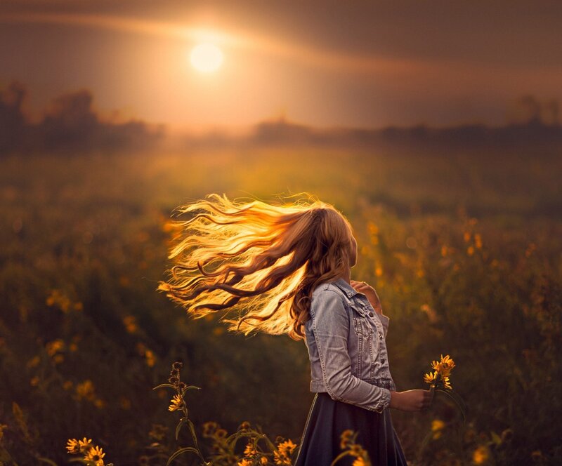 Woman in Field — Yellow, Serene, Sunset, Photograph