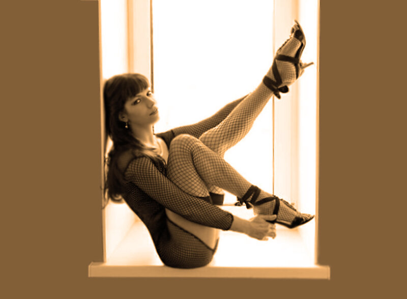 Woman in Fishnet Outfit — Brown