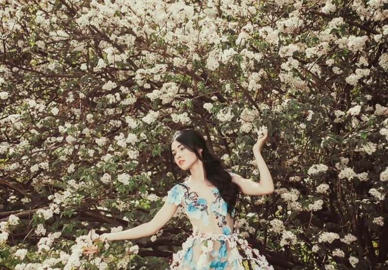 Woman in Floral Dress — White, Serene, Spring, Photograph, Flowering Tree, Branches