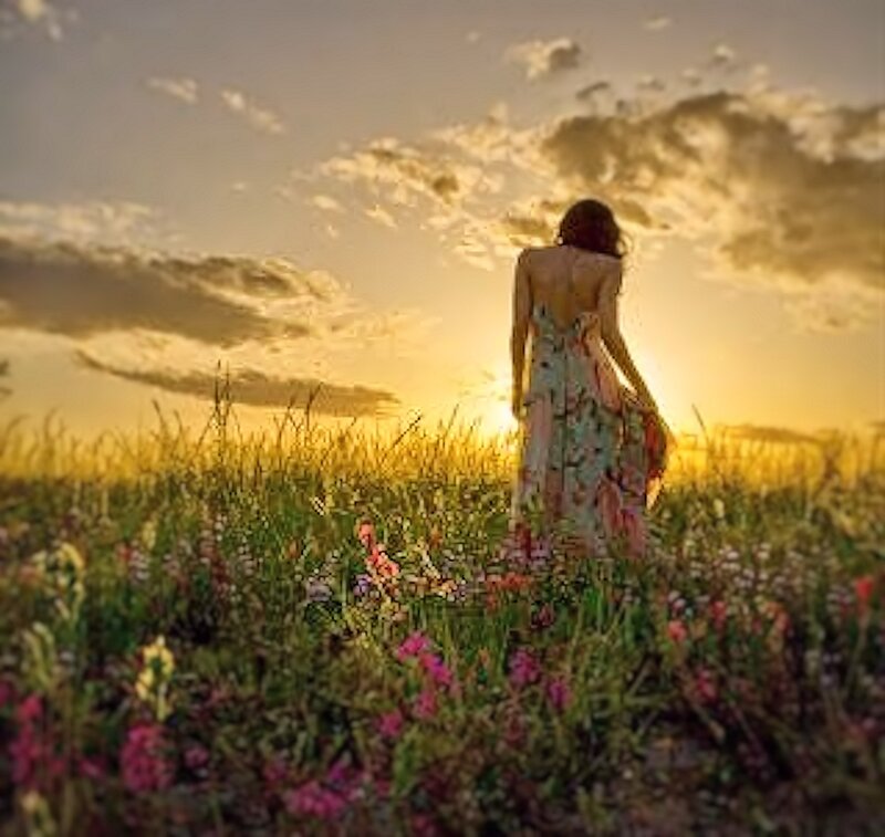 Woman in Floral Dress — Yellow, Serene, Sunset, Photograph, Field