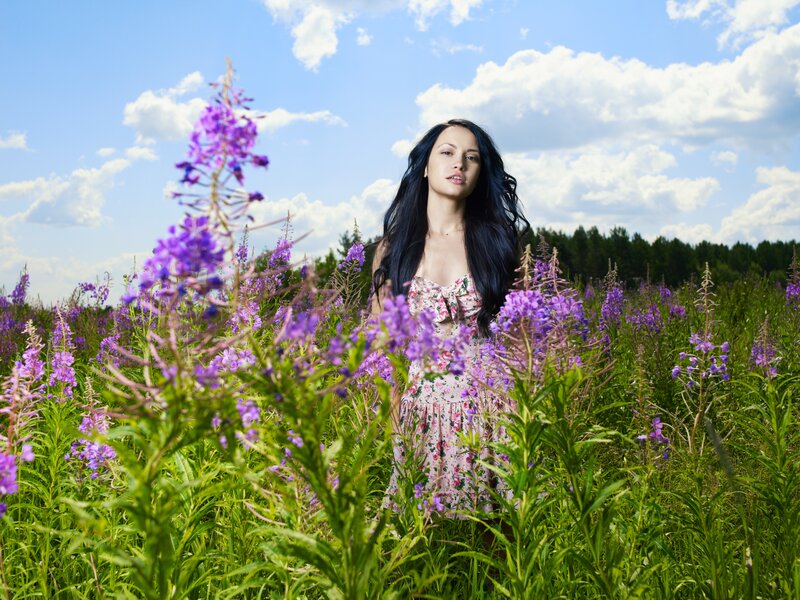 Woman in Flower Field — Purple, Serene, Summer