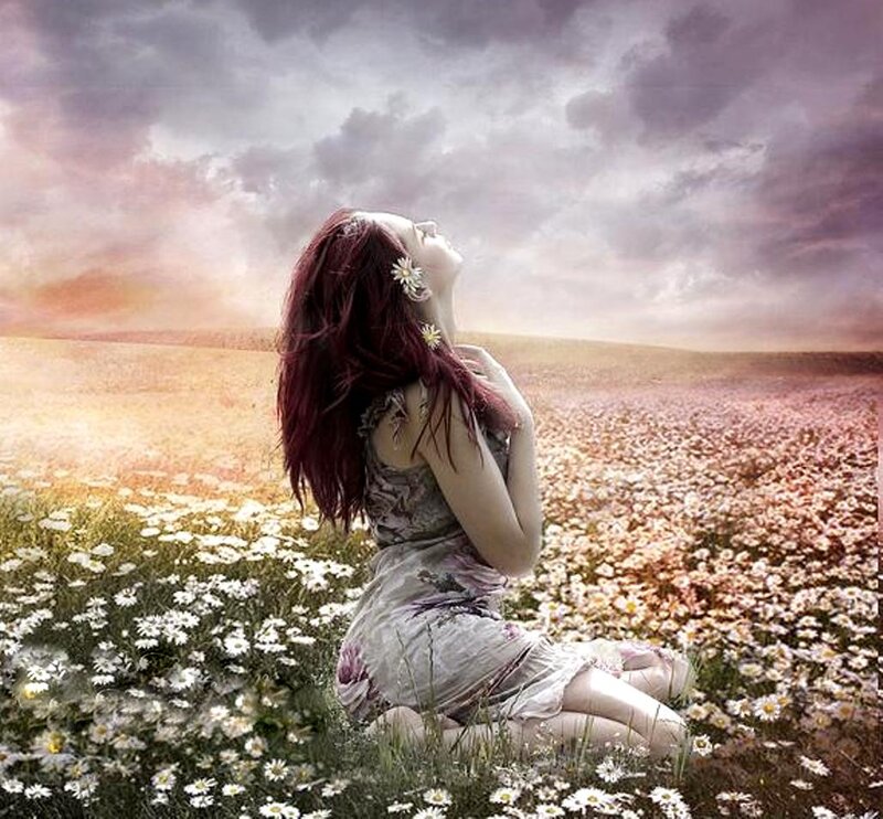 Woman in Flower Field — Purple, Serene, Sunset