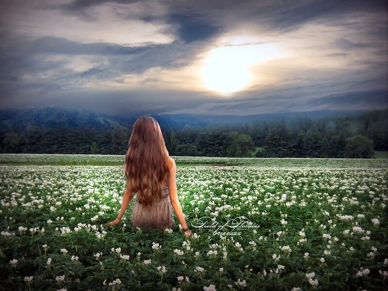 Woman in Flower Field — White, Dramatic