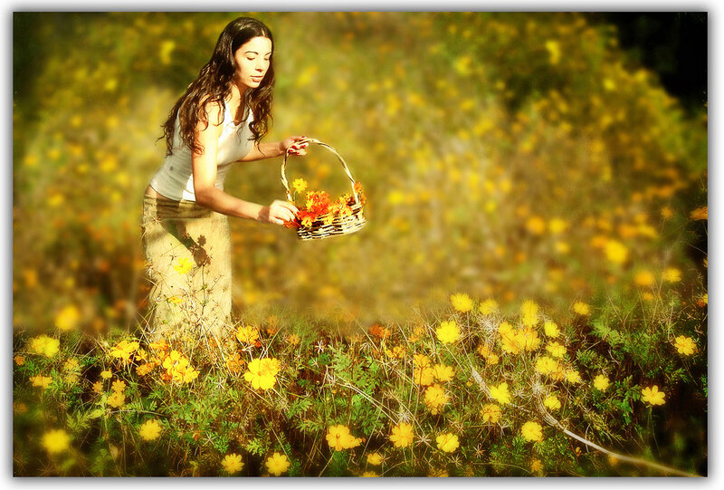 Woman in Flower Field — Yellow