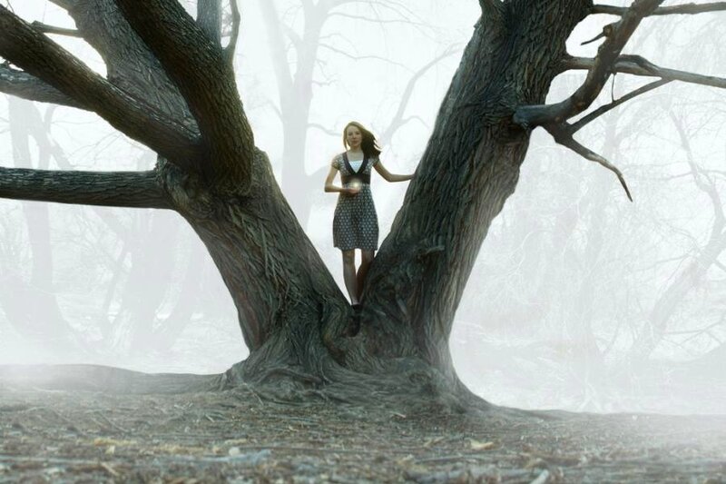 woman in foggy forest
