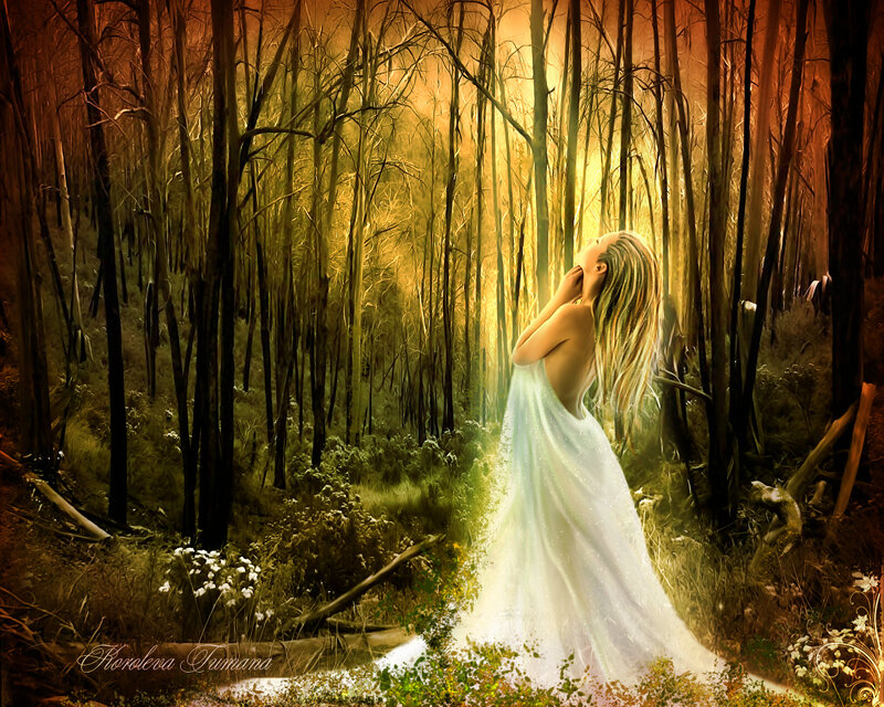 woman in forest at sunset