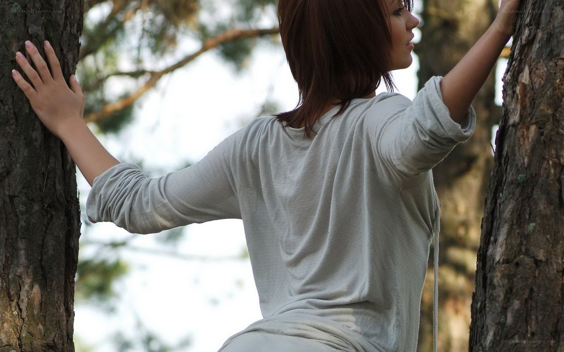 woman in forest between trees