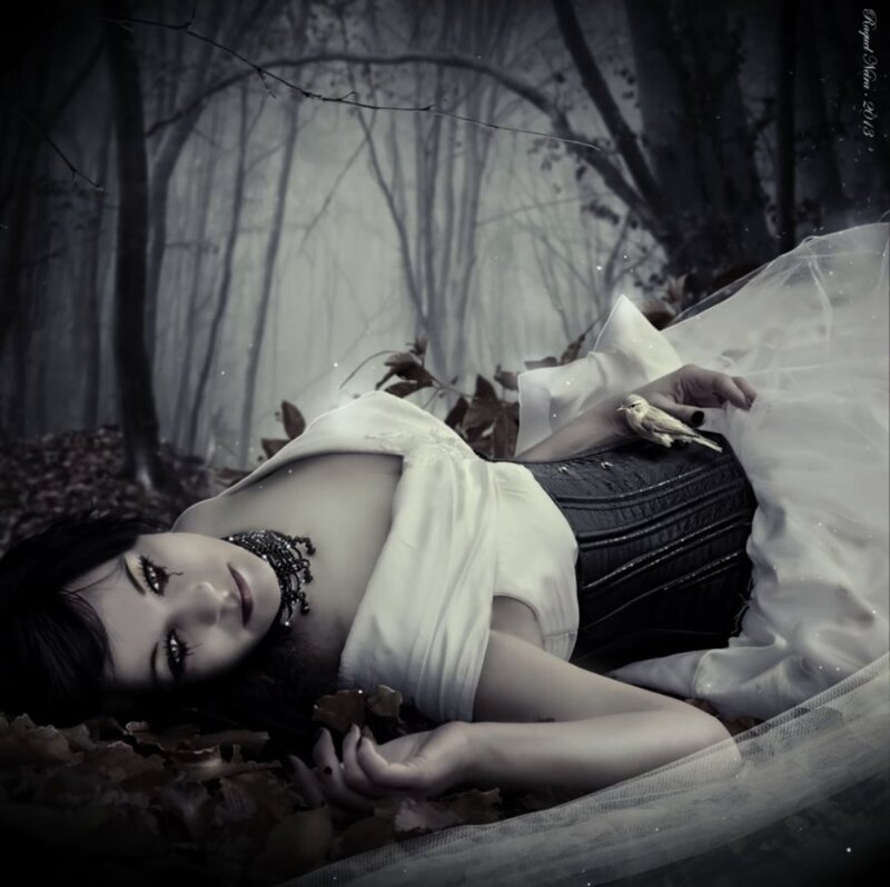Woman in Forest — Black, Dramatic, Autumn, Digital Art, Bird