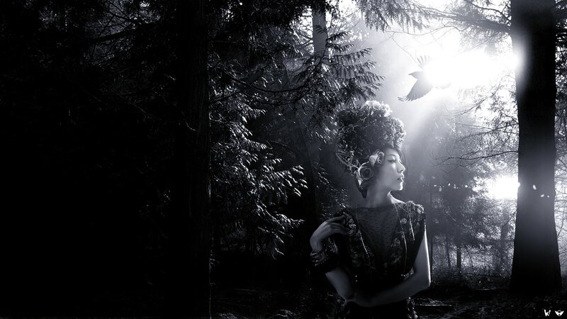 Woman in Forest — Black, Dramatic, Night, Photograph, Bird
