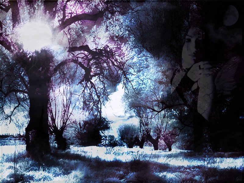 Woman in Forest — Blue, Mysterious