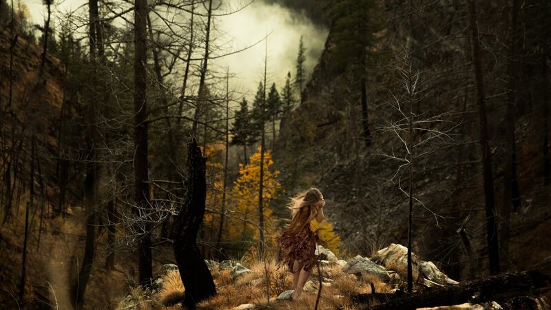 Woman in Forest — Brown, Dramatic, Autumn, Photograph, Trees