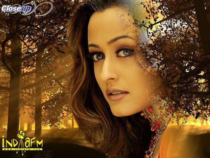 Woman in Forest — Brown, Dramatic, Autumn