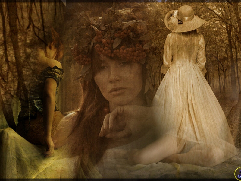 Woman in Forest — Brown, Dreamy