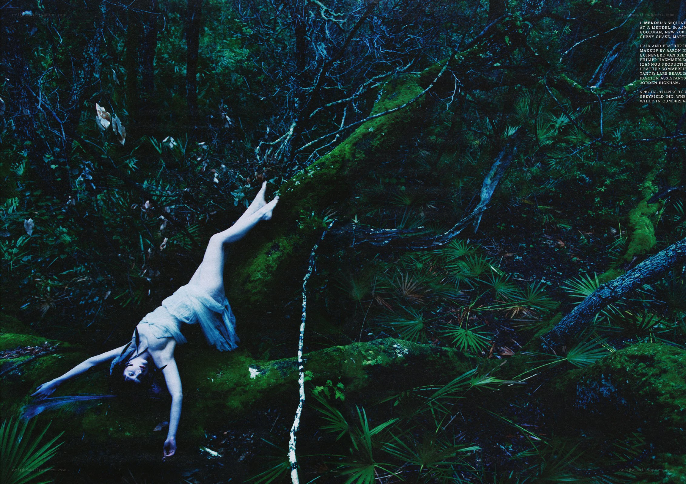 woman in forest clearing