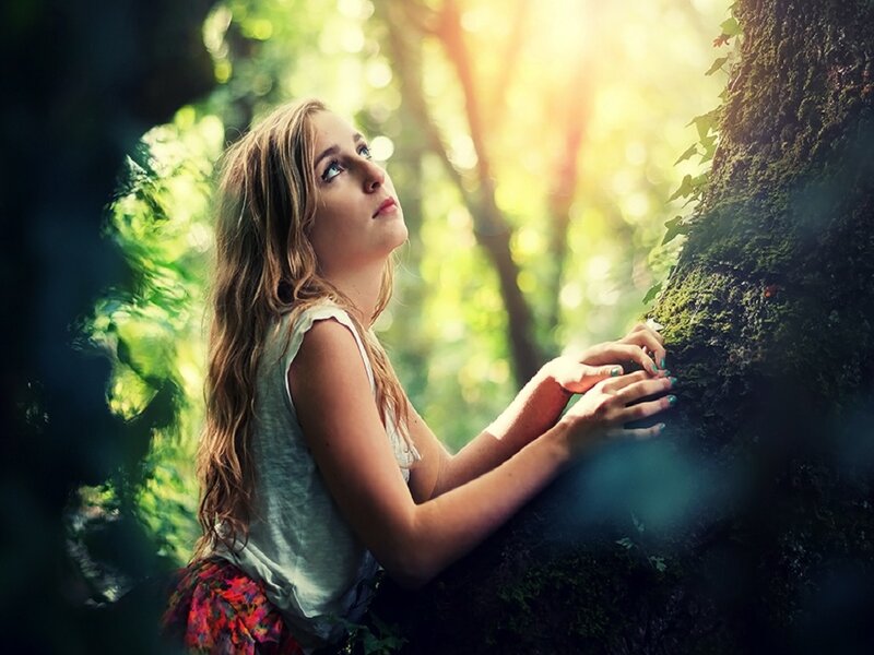 Woman in Forest — Green, Serene, Afternoon, Photograph, Tree, Sunlight